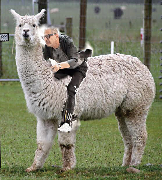 goldblum4.jpg